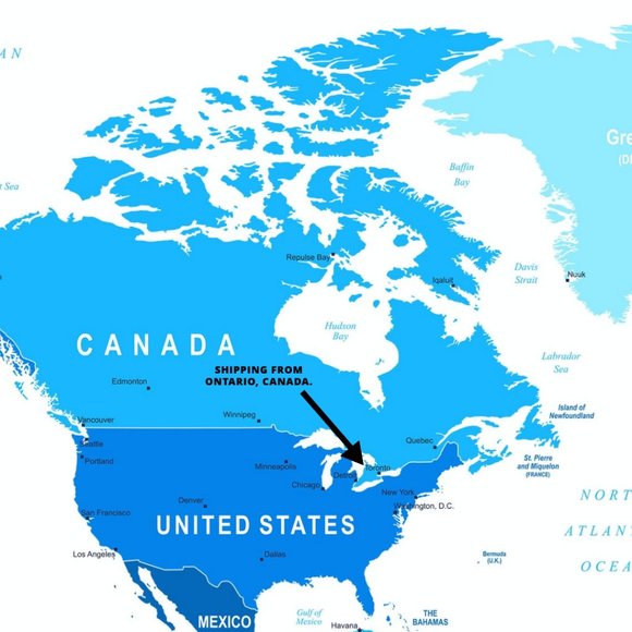 Procta's Shop - Picture 2 of 2